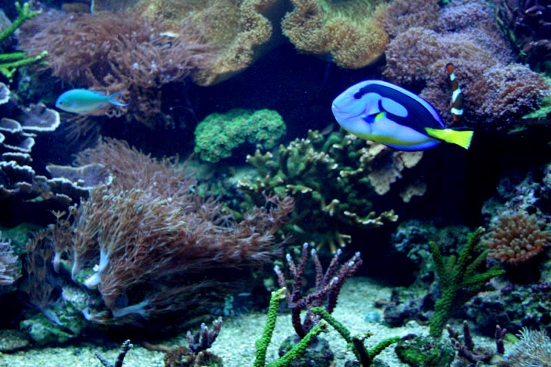 Killikus&reg; Fotographie